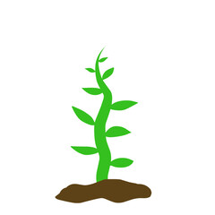 Fototapeta premium Illustration Of Plant Shoots 