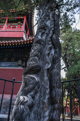 Ancient Tree Trunk Carving in Forbidden City