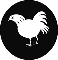 The Hen Domestic Bird