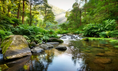 Generated Image 5月　森　新緑　木々　風景　朝の光　緑　葉　輝き　森林浴　清々しい　雰囲気　奥行き　木漏れ日　芝生　苔　自然　美しい　癒し　景色　澄んだ　青空　豊か　公園　風景　風　木陰　明るい　心地よい　初夏　空気　ピクニック　明るい　開放的　里山 水面　山　鮮やか 　生命力　のどか　穏やか　自然の恵み　日本　渓谷　清流　透明　水　岩　涼しい　爽やか　朝　マイナスイオン