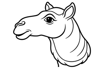 Camel Head Line Art Vector Illustration