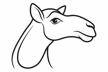 Camel Head Outline Vector Illustration