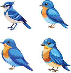 Obraz premium Blue joy bird color vector illustration design