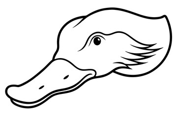 Platypus Head Line Art Vector Illustration