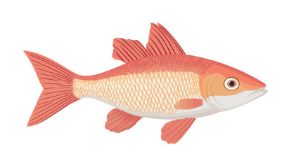 Fototapeta premium A detailed digital illustration shows a red mullet, painted in vibrant red and orange tones. The fish is clearly visible in profile, with the intricate details of its scales visible.