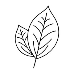 green leaf icon, green leaf line art - simple line art of green leaf, perfect for green leaf logos and icons