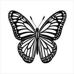 Fototapeta premium Black and White Monarch Butterfly Illustration