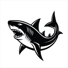 Black and White Shark Illustration