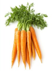 A bunch of six fresh carrots with green leafy tops