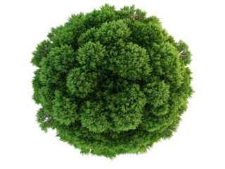 Aerial View of Lush Green Tree Canopy from Above A Bird's Eye Perspective of Nature's Beauty