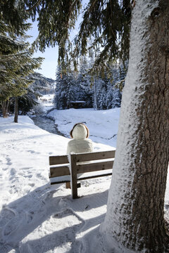 Woman sitting on a bench near tree with snow, Dolomites, Italy