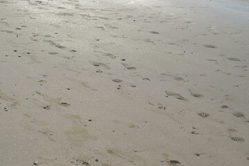 Footprints on sandy beach create serene summer scene inviting relaxation and exploration