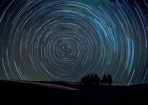 Star trails over cypress grove, Tuscany, Italy