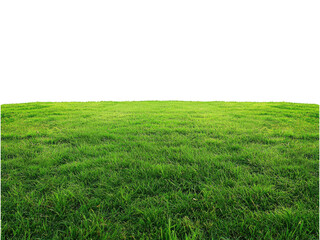 Obraz premium Vibrant Green Grass Field Landscape Photography Lush Meadow Scenery