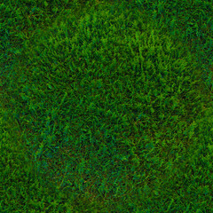 The green texture of the grass. Bright, green grass in close-up. Green background.Seamless image.