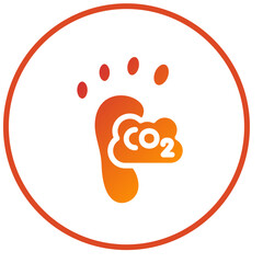 Carbon Footprint Icon Style