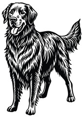 A detailed black-and-white illustration of a standing dog with long, wavy fur, an open mouth with a visible tongue.