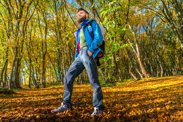 Obraz premium Low-angle view of a bearded male hiker in a blue jacket and backpack walking through an autumn forest blanketed in golden leaves. Sunlight creates long shadows on the ground.
