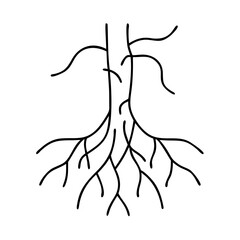 roots of a tree icon, roots of a tree line art - simple line art of roots of a tree, perfect for roots of a tree logos and icons