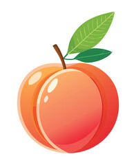 Vector Illustration of Peach Fruit with Leaves