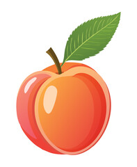 Food Peach Fruit - Vector Illustration