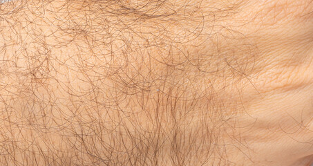 Macro texture of hairy human skin, close view of male arm, body hair, natural surface pattern