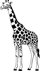 giraffe vector mono color design