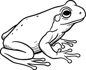 hand draw frog vector mono color design