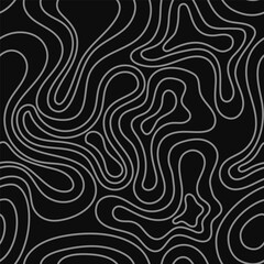Seamless Fluid Line Art Pattern. Black and White Vector Background