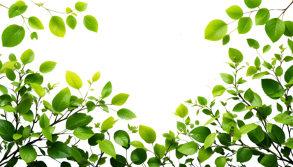 Green leaves frame with floral design and spring nature illustration creates a fresh botanical border