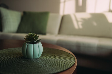 A mint-colored flower pot with succulent on a green napkin on a wooden coffee table. There is a beige sofa and a green cushion in the background. Light from the sun