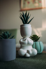 Flower pots with succulents on the coffee table. A pot in the form of a man in the lotus position. Pots of unusual shape