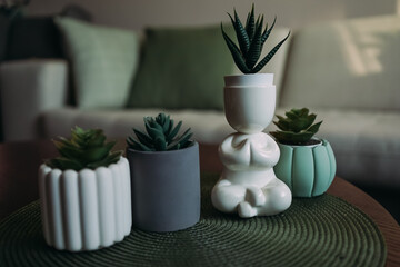 Flower pots with succulents on the coffee table. A pot in the form of a man in the lotus position. Pots of unusual shape