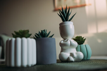 Flower pots with succulents on the coffee table. A pot in the form of a man in the lotus position. Pots of unusual shape