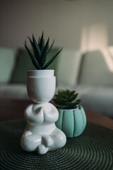 two unique plant green pot and lotus pose figure with green houseplants on the table
