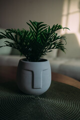 Unique Plant Pot: Easter Island Moai Head with Green Houseplants in Cozy Interior
