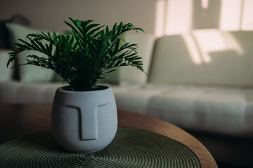 Unique Plant Pot: Easter Island Moai Head with Green Houseplants in Cozy Interior