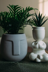 Two Unique Plant Pots: Easter Island Moai Head and Lotus Pose Figure with Green Houseplants in Cozy Interior