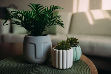 Modern Home Interior with Green Houseplants in Stylish Pots on Coffee Table
