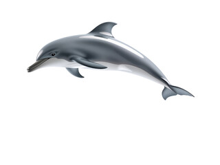 Fototapeta premium A PNG Image of a Dolphin on a transparent background