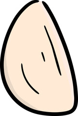 Illustration of garlic

