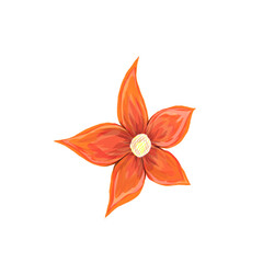 orange lily without background