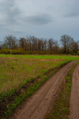 Landscape  photography in the forest , spring beauty, beautiful lands in Ukraine .Road in the forest ,vehicles on the road , woodlands and electricity lines ,field without grass