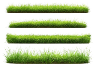 High-Resolution Green Grass Textures Pack Ideal for Landscaping Design Projects and 3D Modeling
