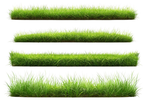 High-Resolution Green Grass Textures Pack Ideal for Landscaping Design Projects and 3D Modeling
