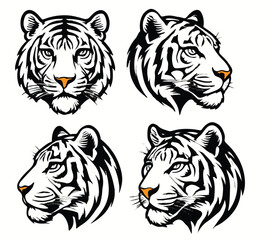Tiger vector illustration, Tiger face illustration,