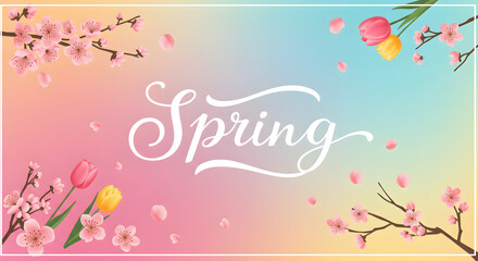 Spring Blossoms: Pastel Tulips and Cherry Branches