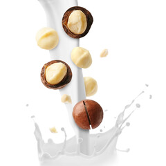 Nut milk flow and macadamias isolated on white