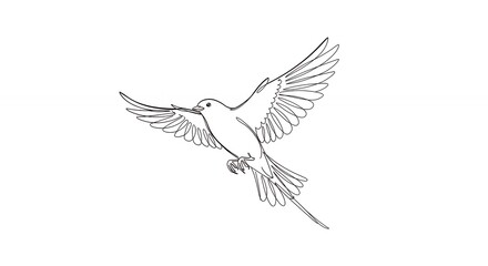 Obraz premium Line art bird in flight graphic design