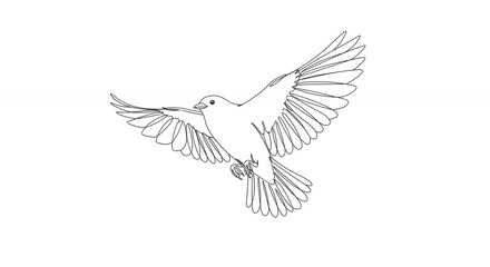 Obraz premium White bird flying line art illustration